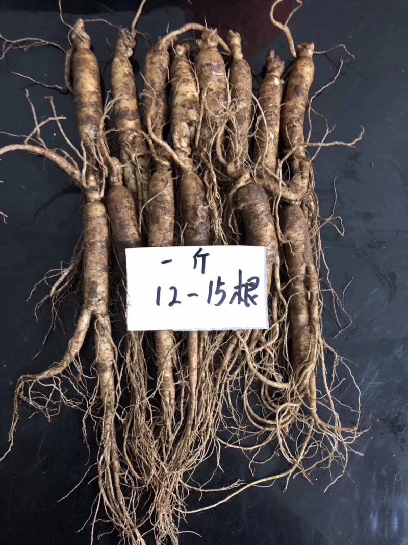 长白山新鲜人参500g顺丰空运包邮