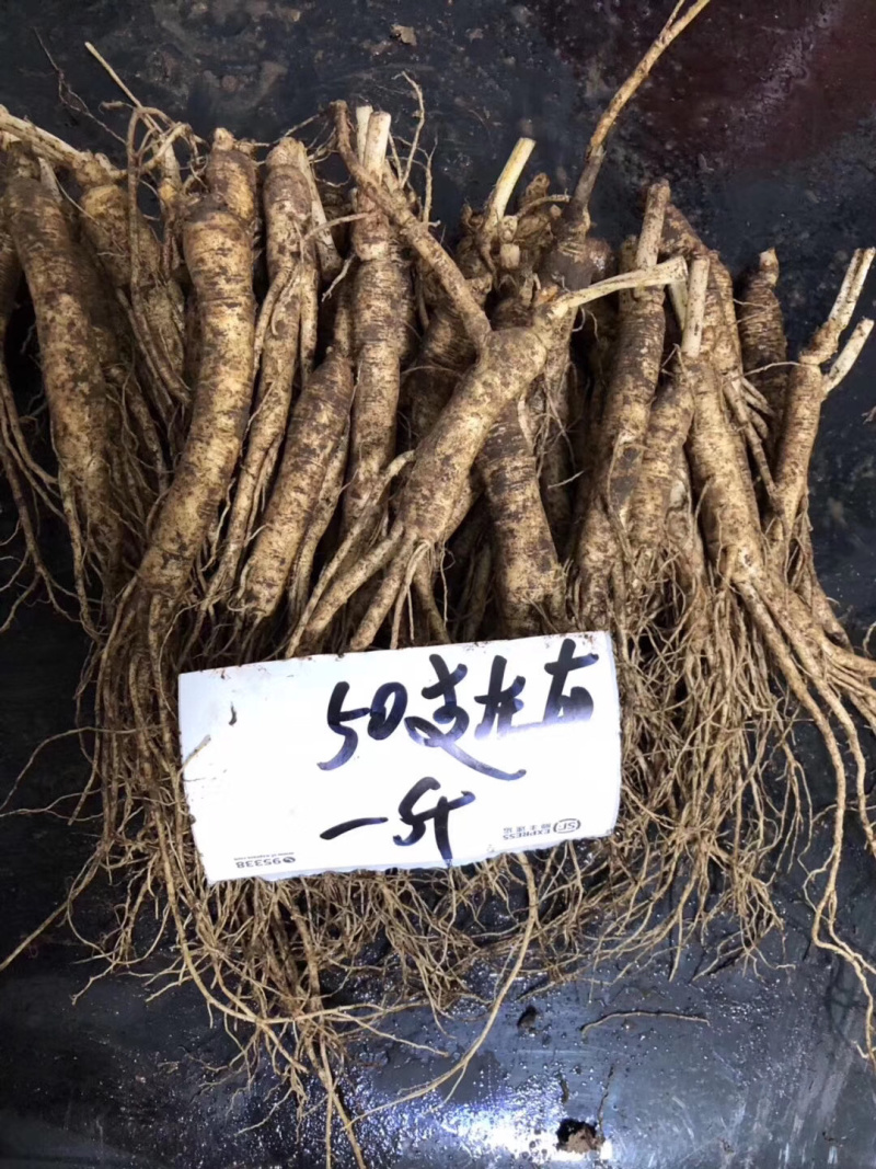 长白山新鲜人参500g顺丰空运包邮