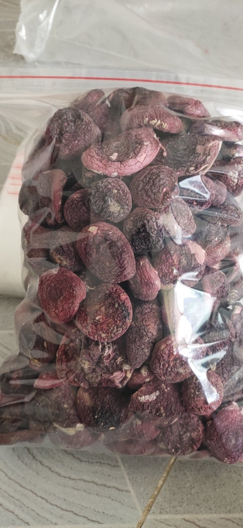 福建红菇