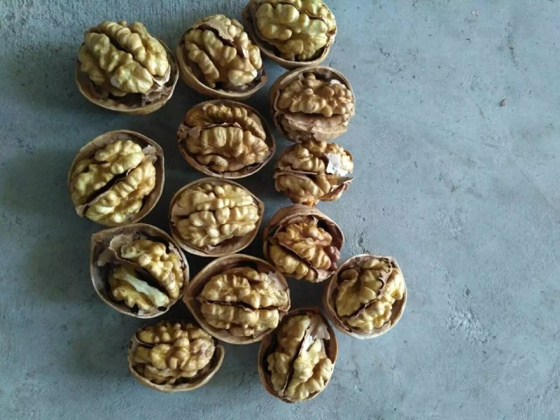 薄皮核桃产地直销质量高规格品种齐全高质量产地直销