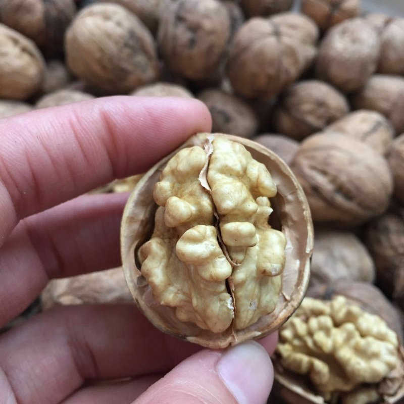核桃去皮30mm以上干高质量规格品种齐全高质量产地