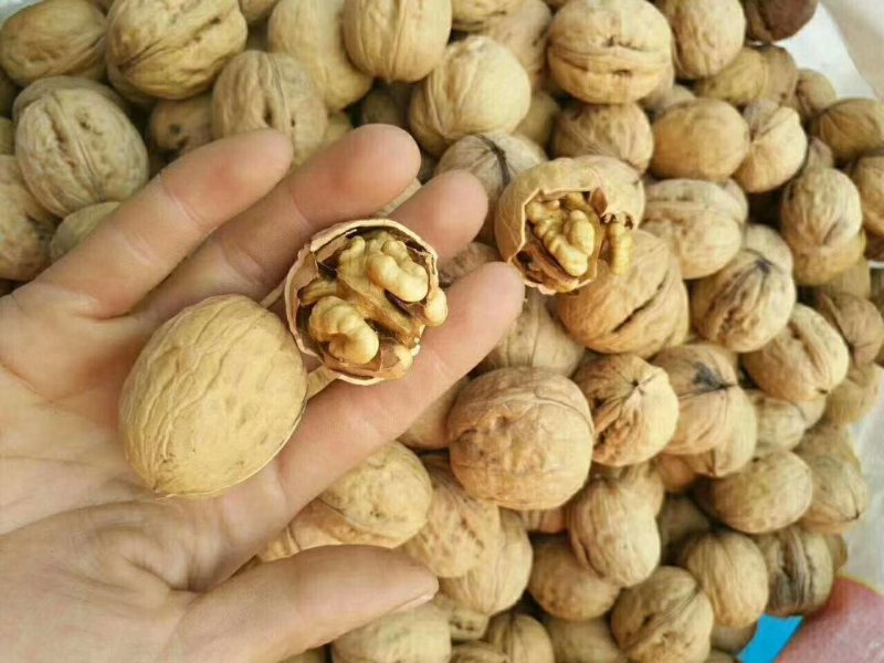核桃去皮30mm以上干高质量规格品种齐全高质量产地
