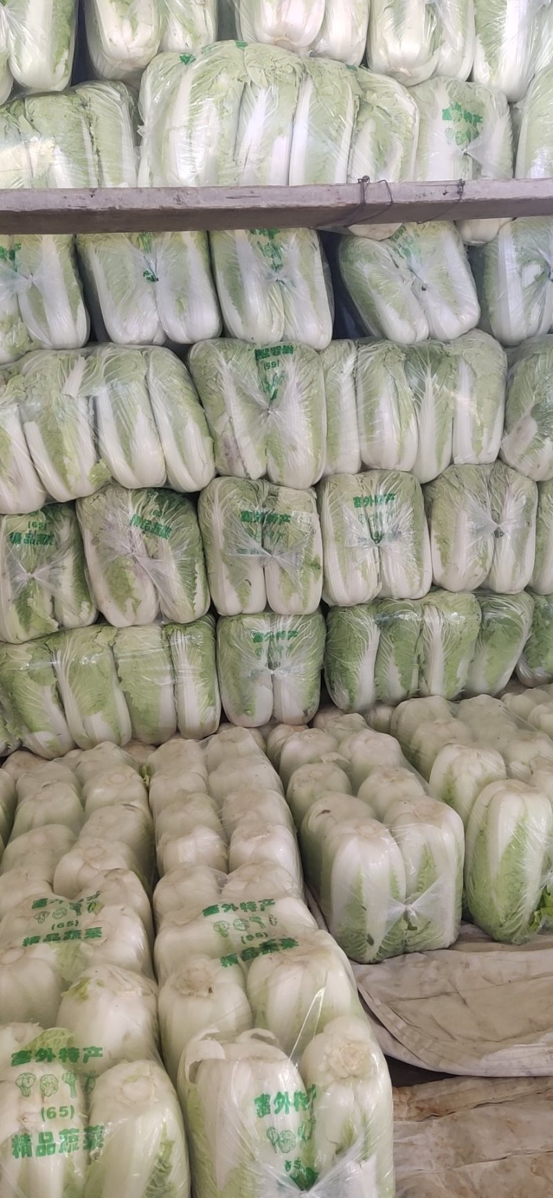 山东滕州大白菜北京新三号！黄心大白菜大量供应！