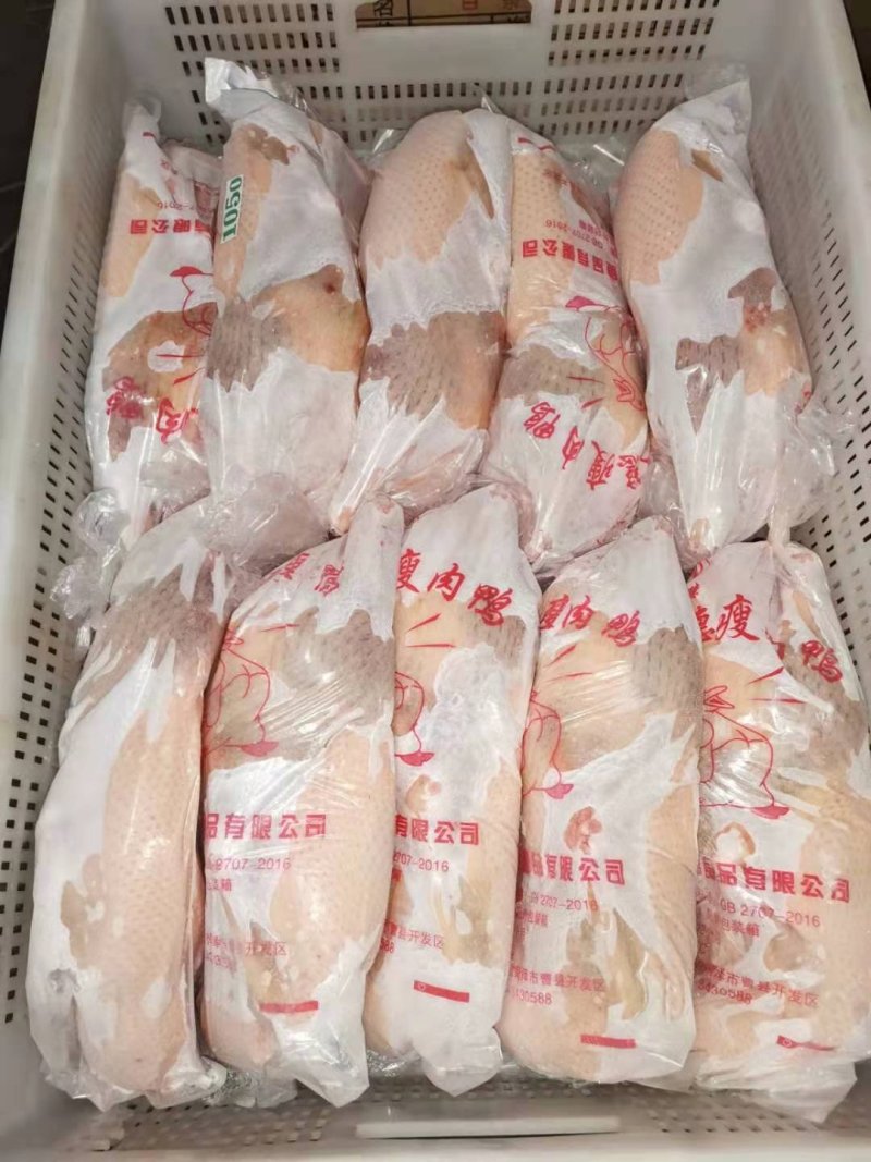 批发各规格白条鸭，质优价低，预定从速，价格优惠