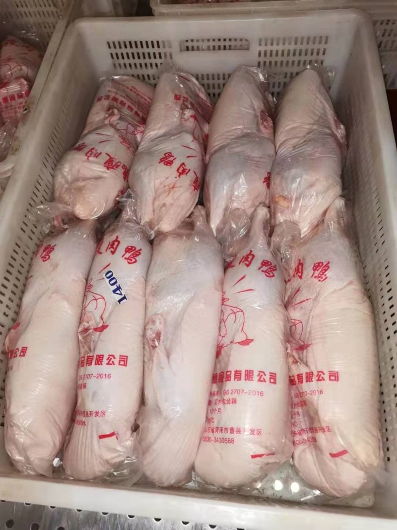批发各规格白条鸭，质优价低，预定从速，价格优惠