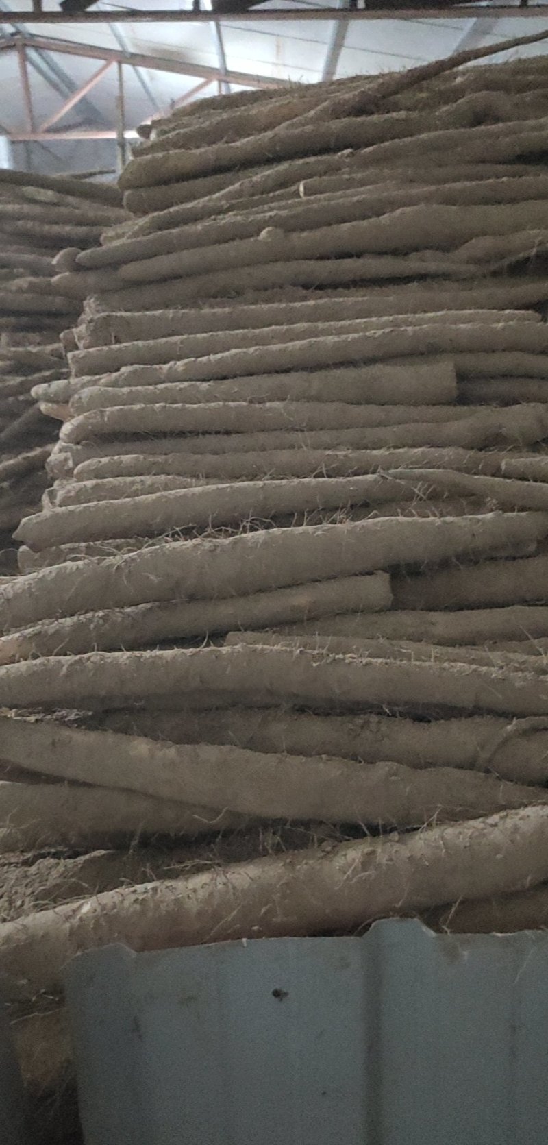 麻山药，诚信经营各种麻山药货源充足代发全国保证质量