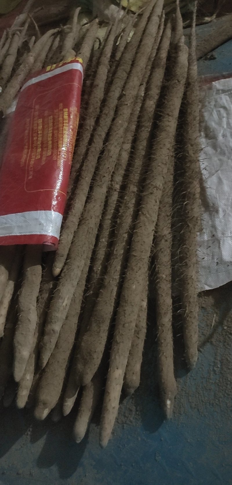 麻山药，诚信经营各种麻山药货源充足代发全国保证质量