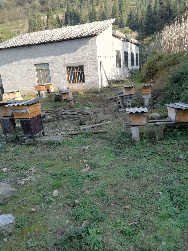 自己养的百花蜜，没有任何添加剂，可检测