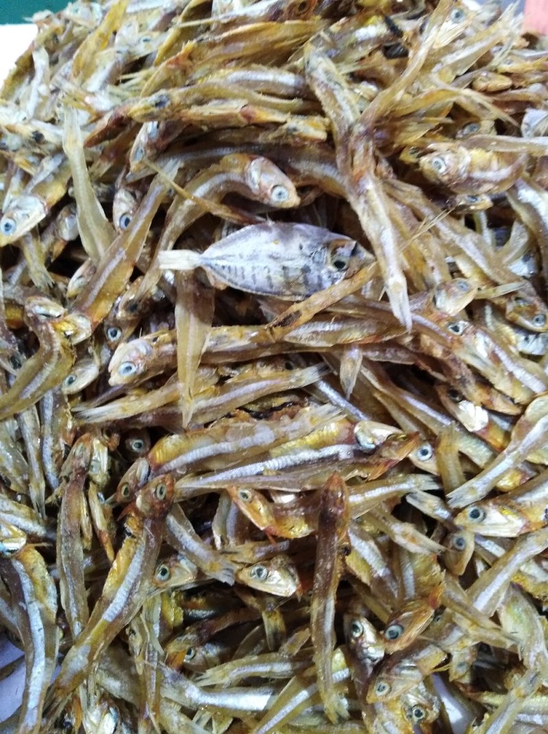 深海小鱼干