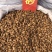 砂仁越南砂仁香砂壳砂仁香料