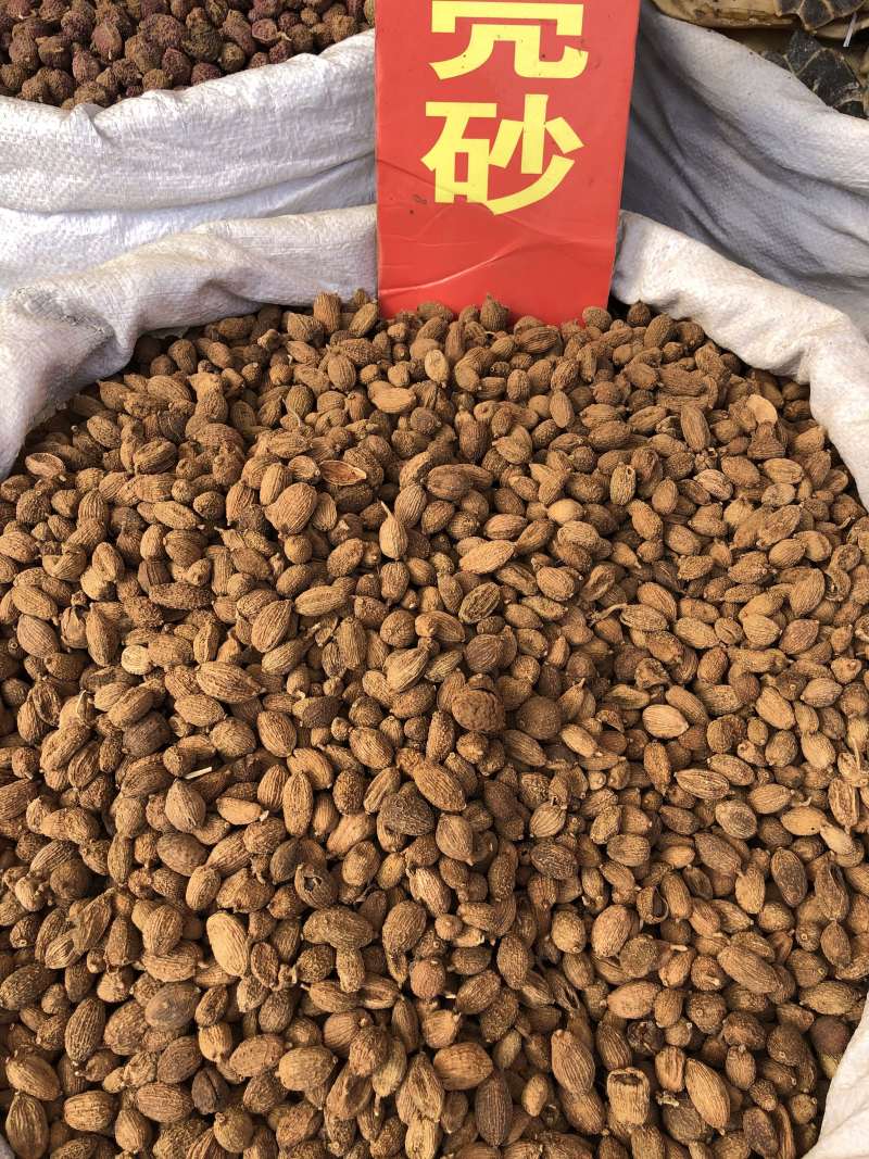 砂仁越南砂仁香砂壳砂仁香料