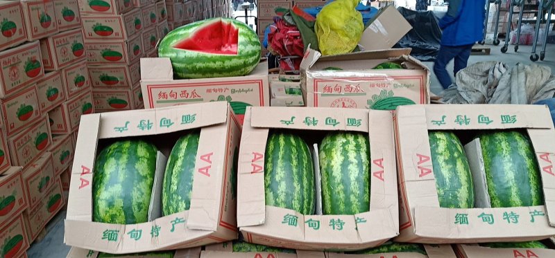 缅甸精品西瓜，郑州市内免费送货