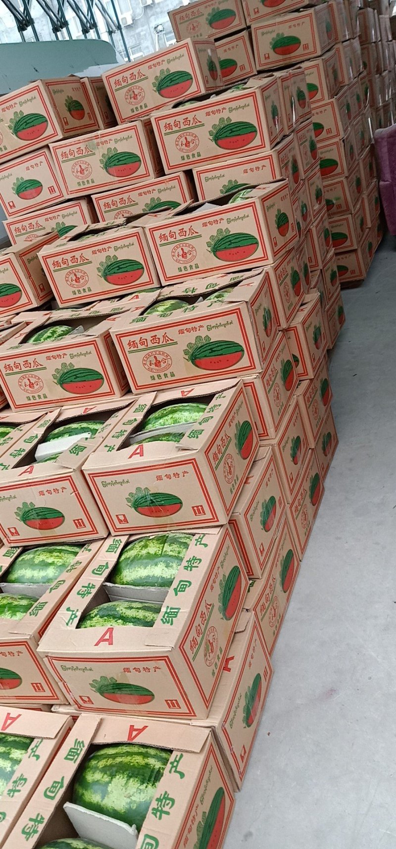 缅甸精品西瓜，郑州市内免费送货
