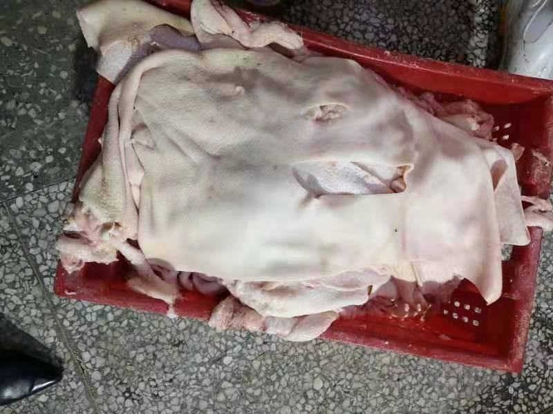 国产袋装母猪大皮有货
