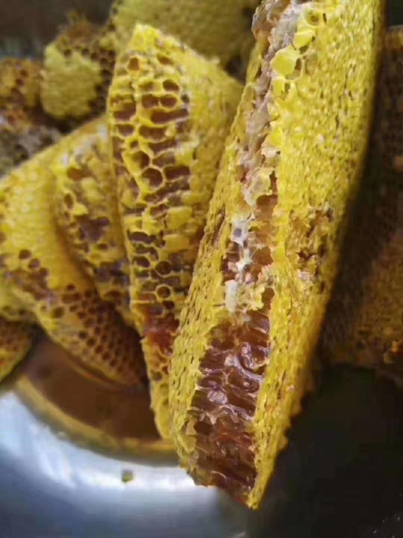 纯野生，小蜜蜂，蜂蜜，一手货源批发全国各地