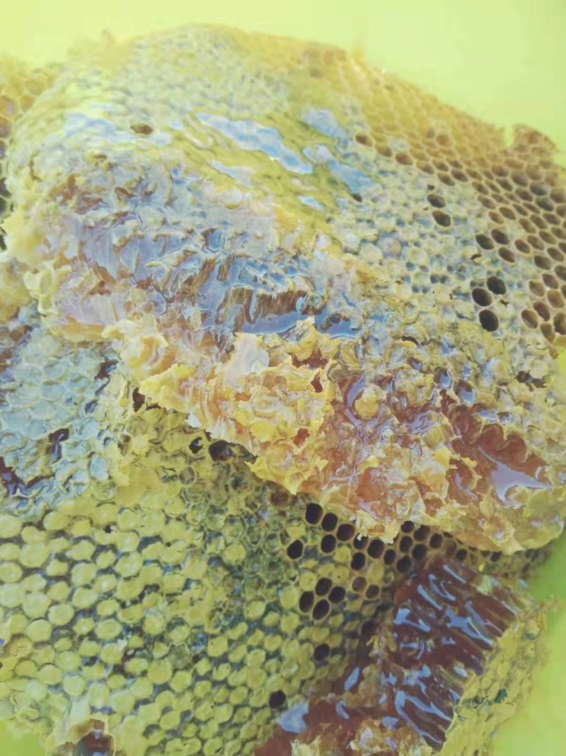 纯野生，小蜜蜂，蜂蜜，一手货源批发全国各地