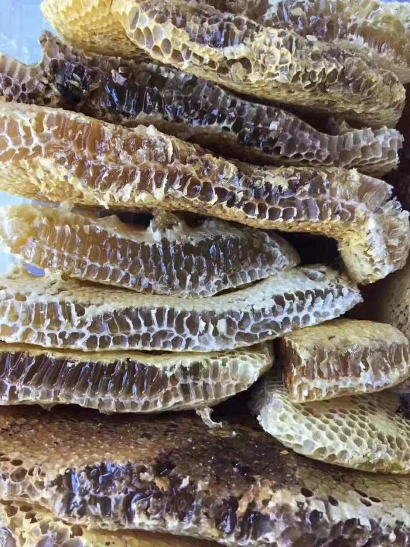 纯野生，小蜜蜂，蜂蜜，一手货源批发全国各地