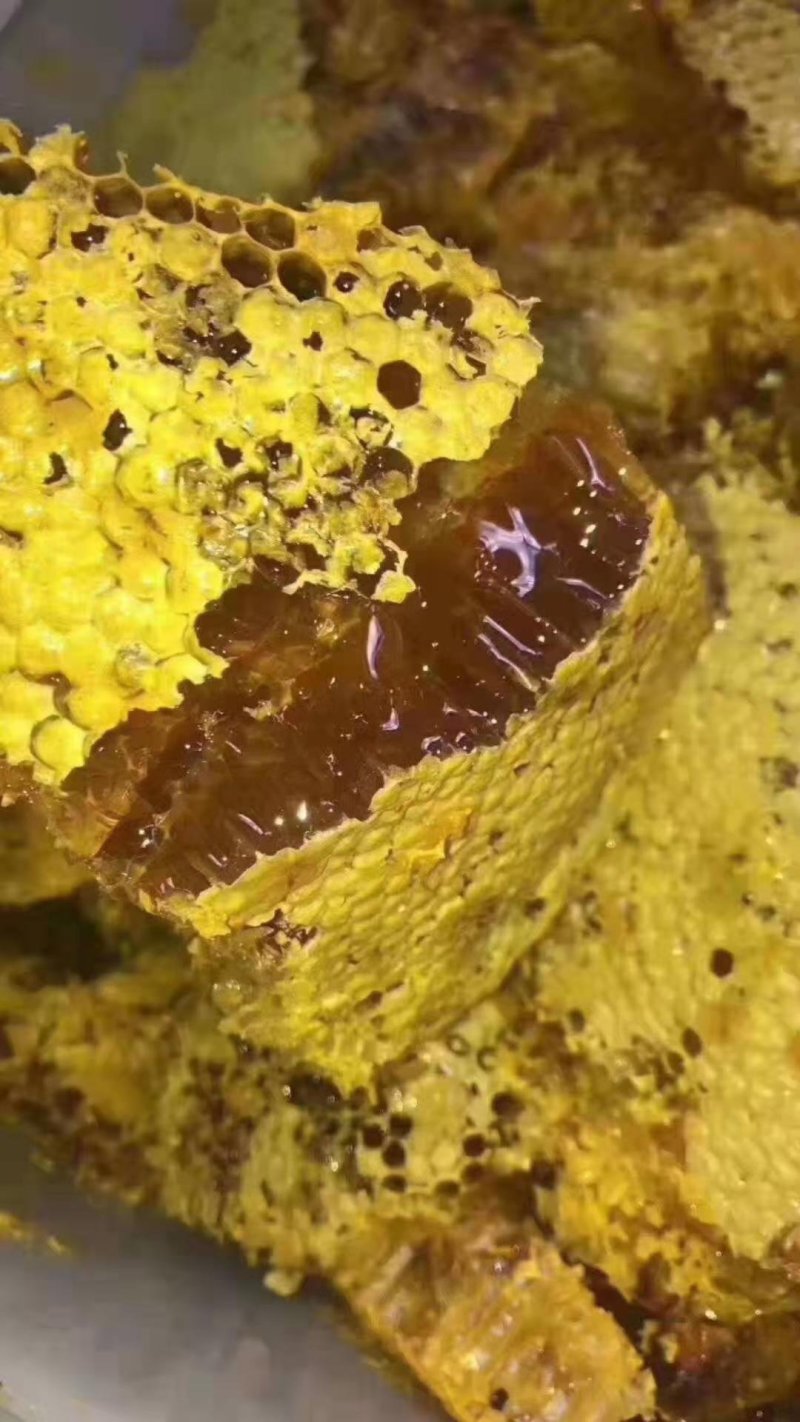 纯野生，小蜜蜂，蜂蜜，一手货源批发全国各地