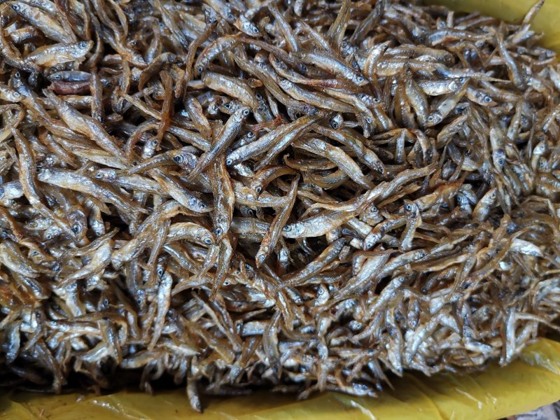 干鱼系列