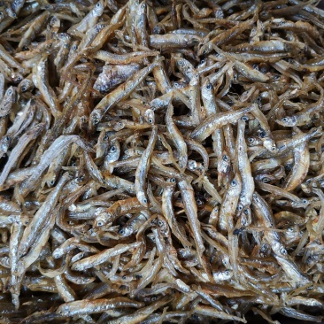干鱼系列