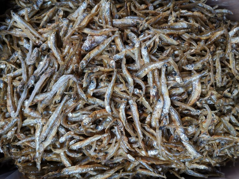 干鱼系列