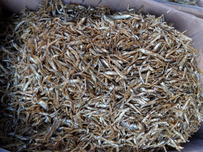 干鱼系列