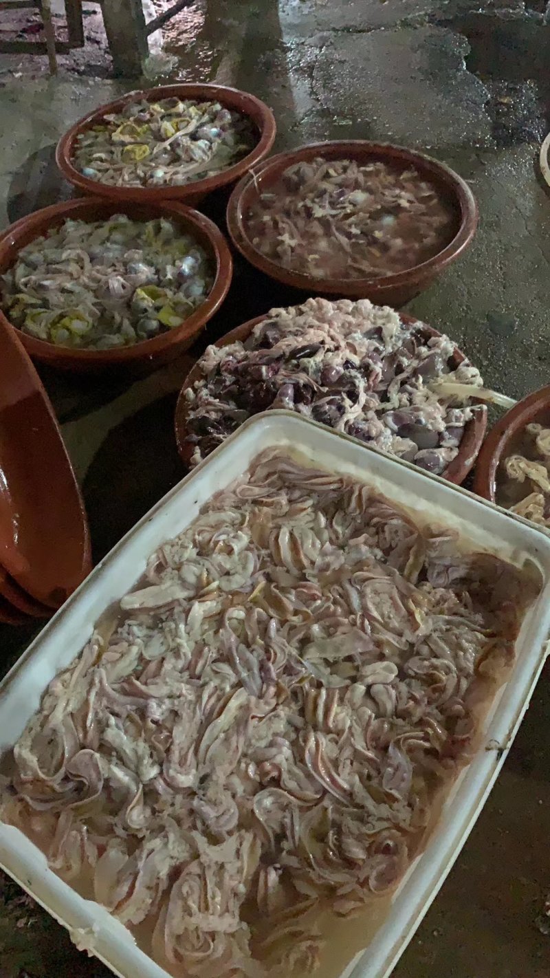 鹅肉