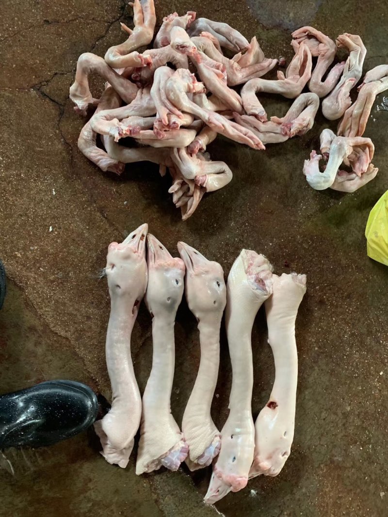 鹅肉