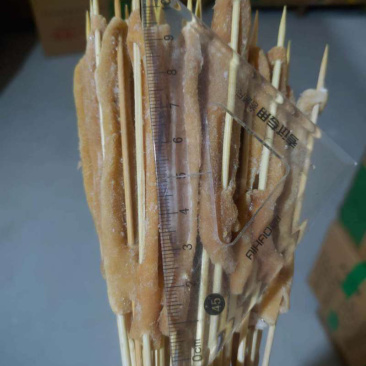 豆丁食品小鲜肉系列鸭肠小串