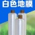 白地膜保温保湿农用膜吹塑膜