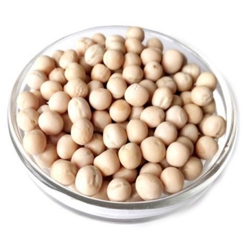 芽苗菜种子豌豆苗四季阳台水培蔬菜白豌豆种纸上种菜豆芽菜种