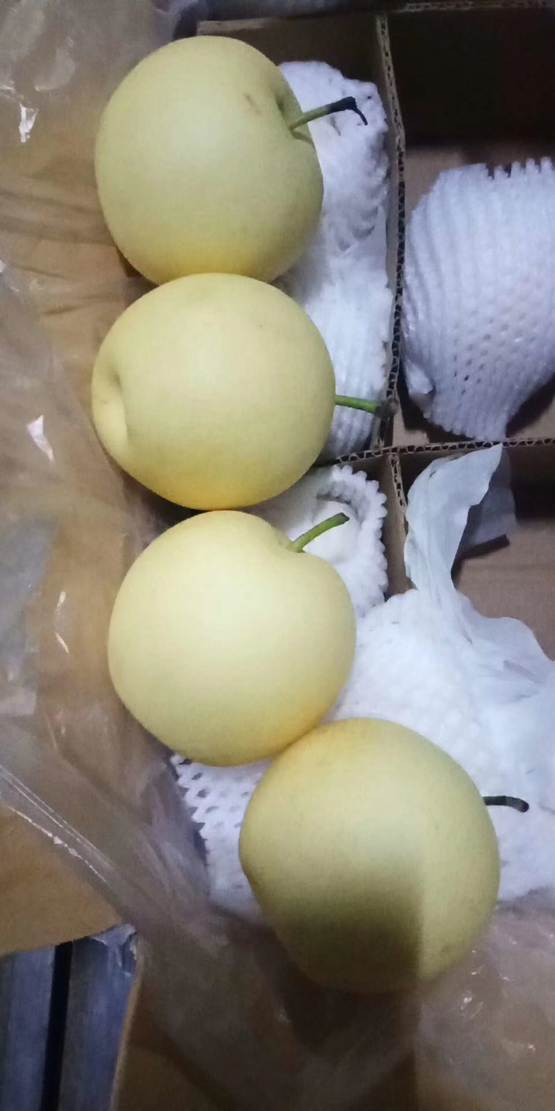 精品皇冠梨，产地直供，大量冷库合作！货源充足！