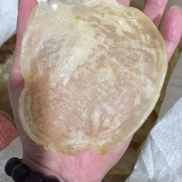 高档特级千岛湖滋补养颜花胶鱼肚35至50头少量