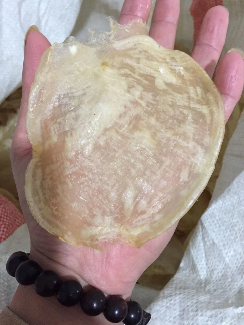 高档特级千岛湖滋补养颜花胶鱼肚35至50头少量