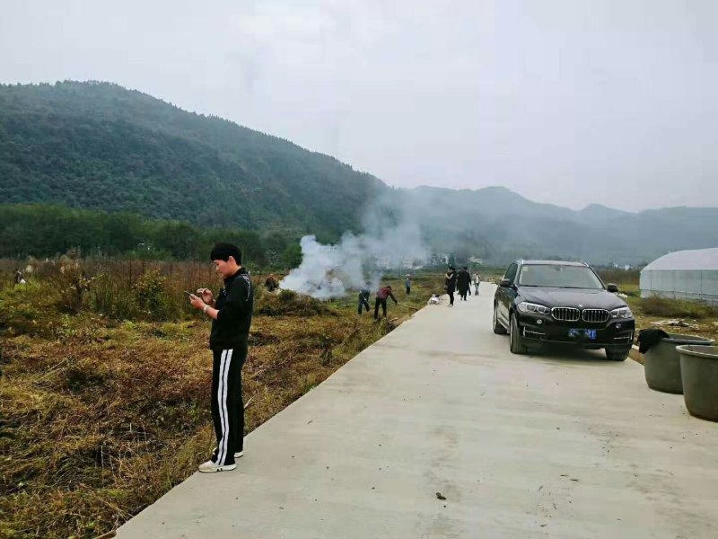 百香果苗台农一号二号紫香一号嫁接苗扦插苗脱毒苗包邮包活