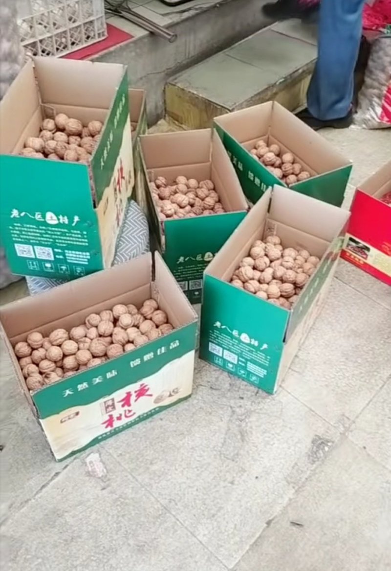 核桃核桃核桃核桃核桃核桃核桃核桃