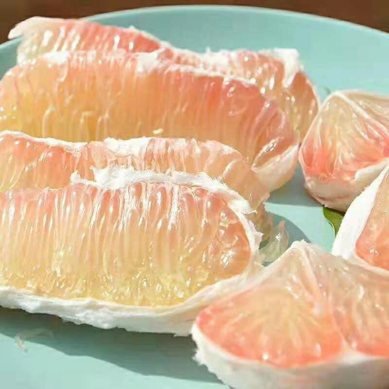柚子苗泰国红宝石青柚苗越南青柚苗果苗嫁接苗品种纯正包邮