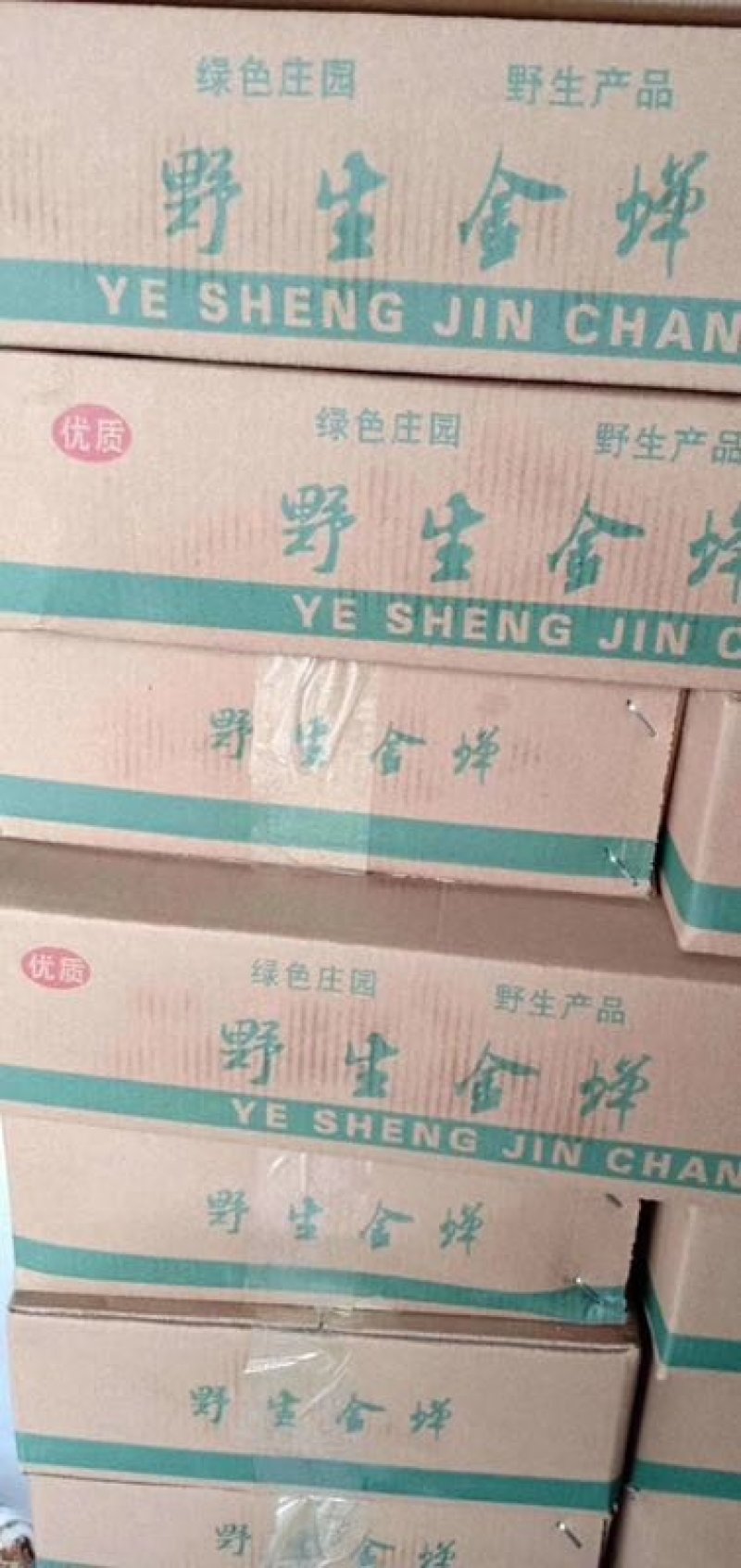 金蝉