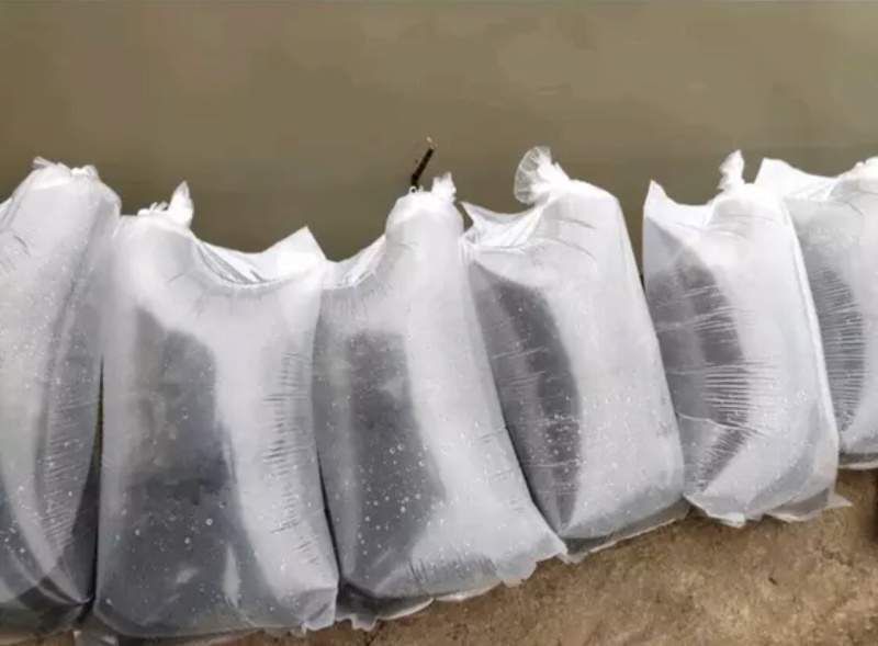 优质罗非苗，鲫鱼苗，黄骨鱼苗，黑鱼苗，鲶鱼苗