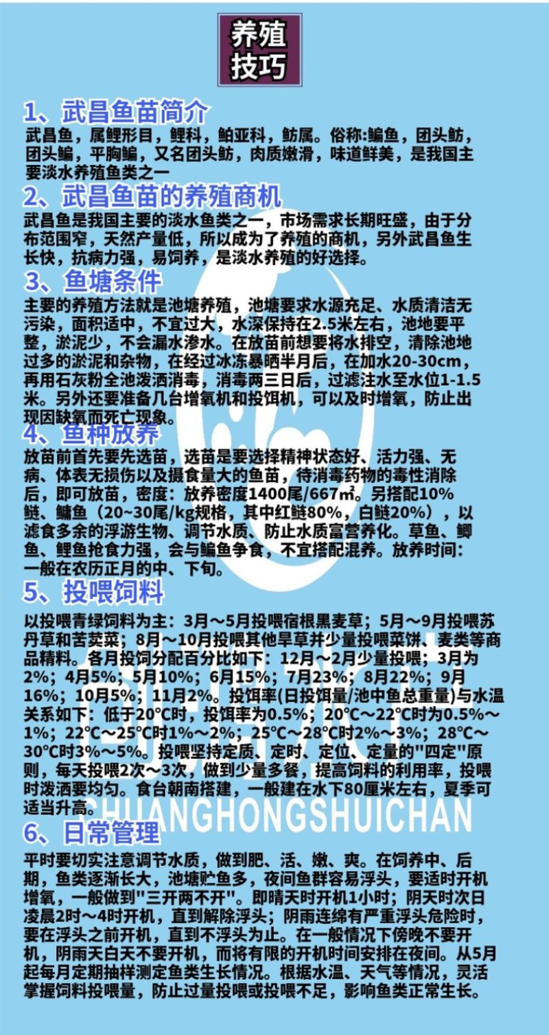优质武昌鱼鱼苗团头鲂鱼苗三角鲂鱼苗武昌鱼水花供应