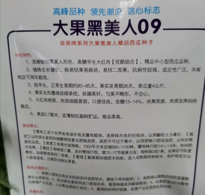 超大黑美人西瓜种子四季水果种子