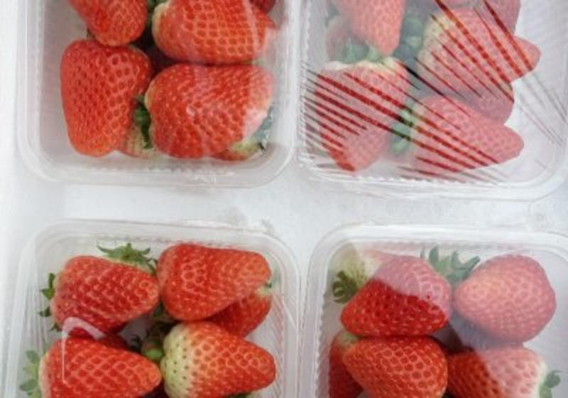 为各地客商提供优质甜宝草莓代办服务！