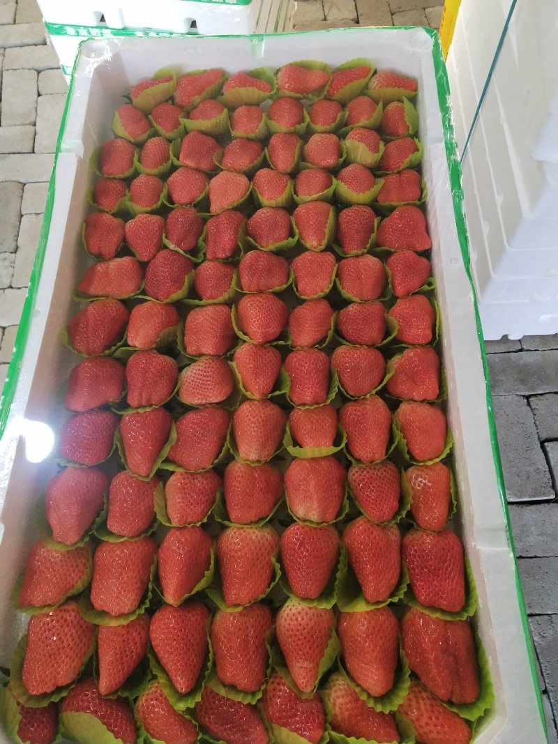 草莓精品甜宝草莓口感甜爽物美价廉产地批发