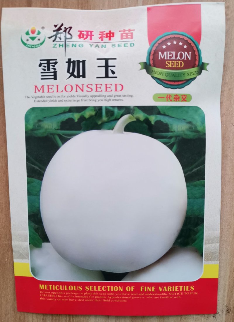 郑研雪如玉甜瓜种子5g，单瓜500g，香甜可口