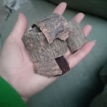 杜仲皮厚的薄的炒的多种规格一手货源保证质量