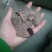杜仲皮厚的薄的炒的多种规格一手货源保证质量