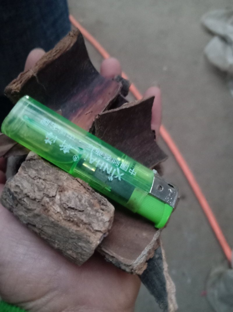 杜仲皮厚的薄的炒的多种规格一手货源保证质量