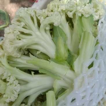 精品有机菜花