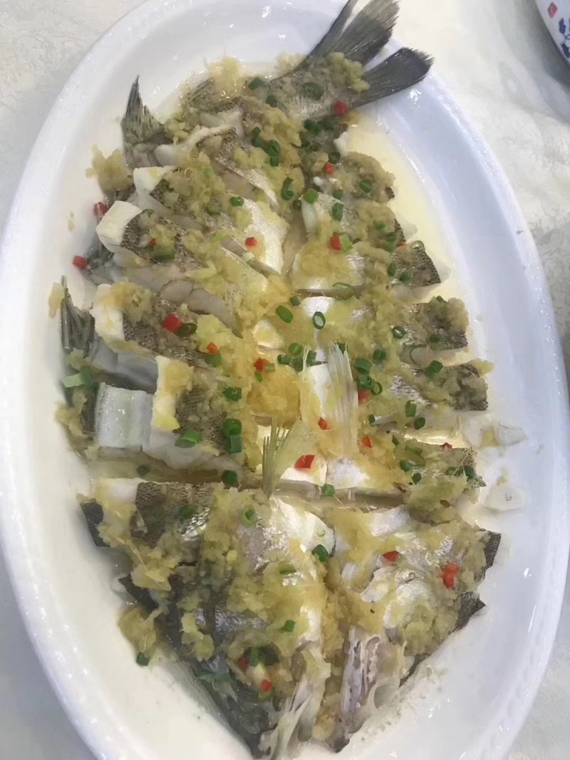海鲈鱼加州鲈鱼