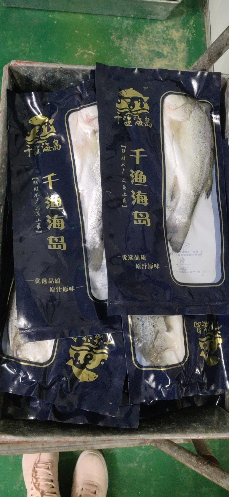 海鲈鱼加州鲈鱼